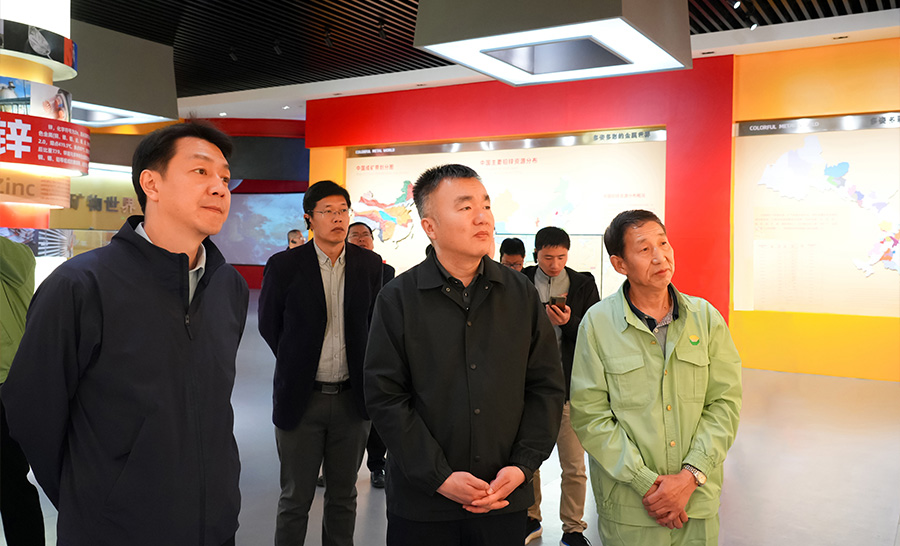 10.4-2024年04月，自然資源部礦保司副司長(zhǎng)王博蒞臨公司調(diào)研。.jpg